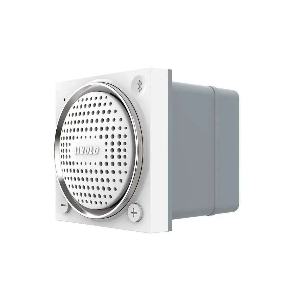 Livolo Bluetooth Speaker Module