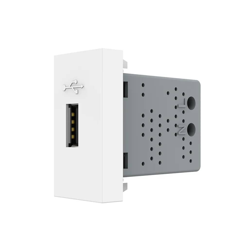 Livolo USB Socket Module