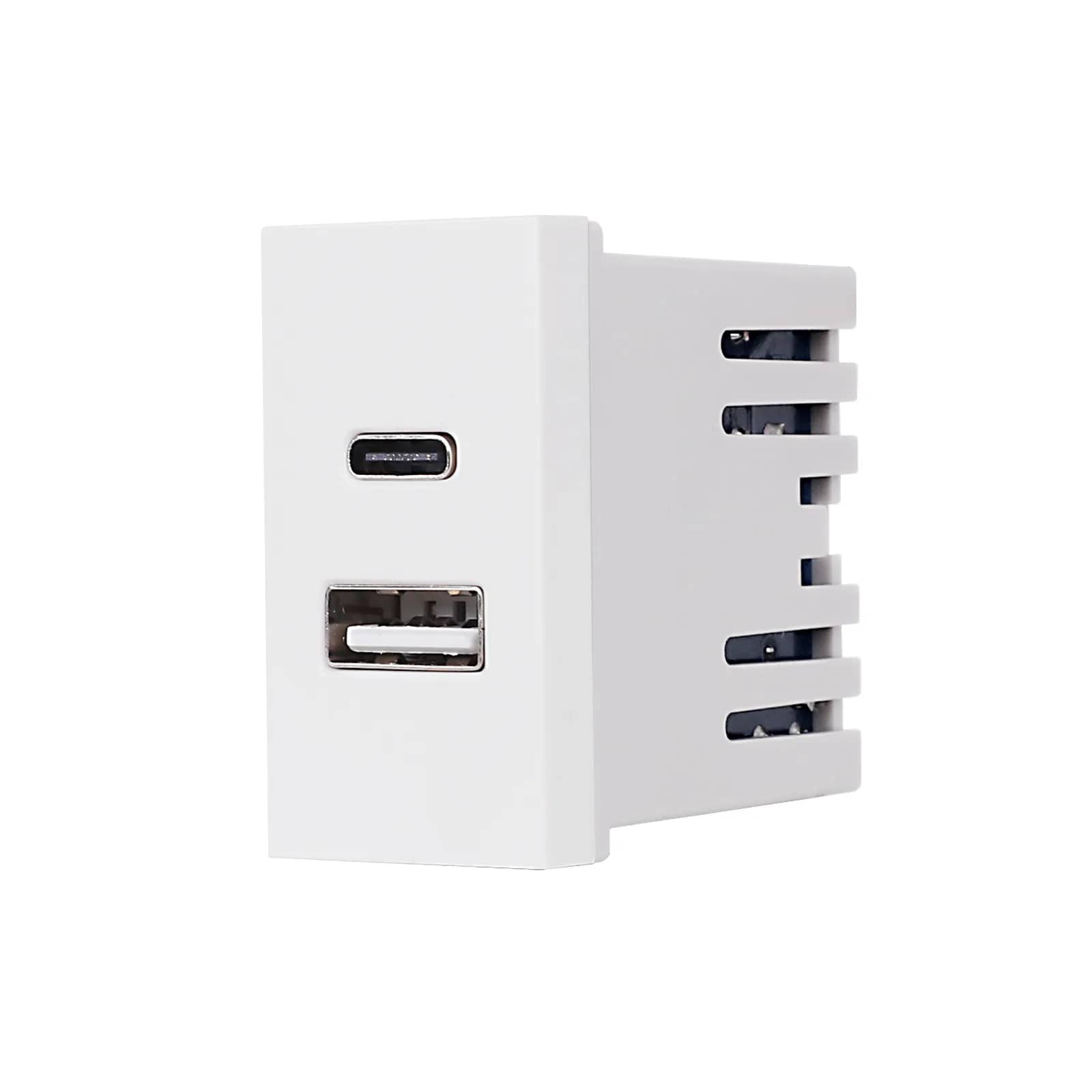Luxion USB A+C Socket Module 1M – Italian Standard