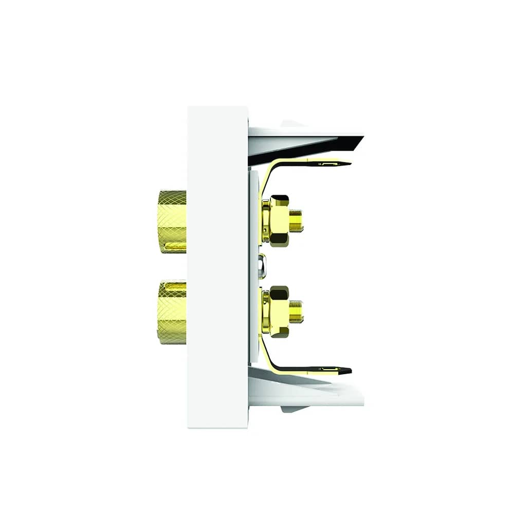 Livolo Audio Socket Module (VL-FCSD-1WP) – Product Views