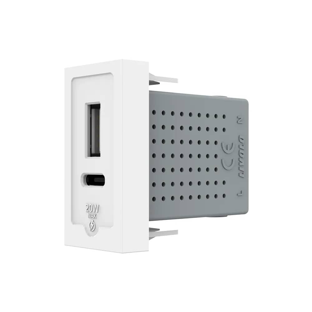 Livolo USB-A + USB-C Socket Module – 20W