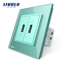 Priza dubla USB Livolo cu rama din sticla culoare verde