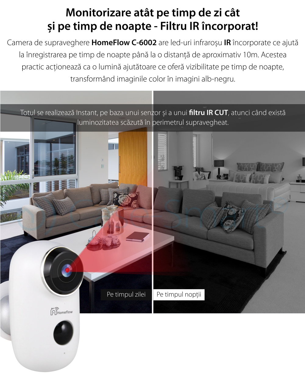 Camera de supraveghere inteligenta Wireless Homeflow C-6002, Comunicare bidirectionala, Detectie miscare