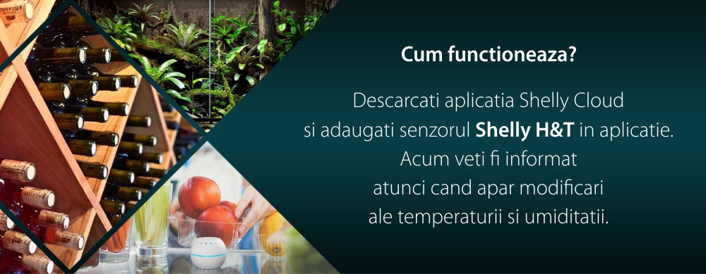 Senzor de temperatura si umiditate Shelly H&T, Wi-Fi, Monitorizare aplicatie, Verificare istoric