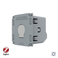 Modul Intrerupator Simplu cu Reset si Contact Uscat Livolo, ZigBee – Serie Noua