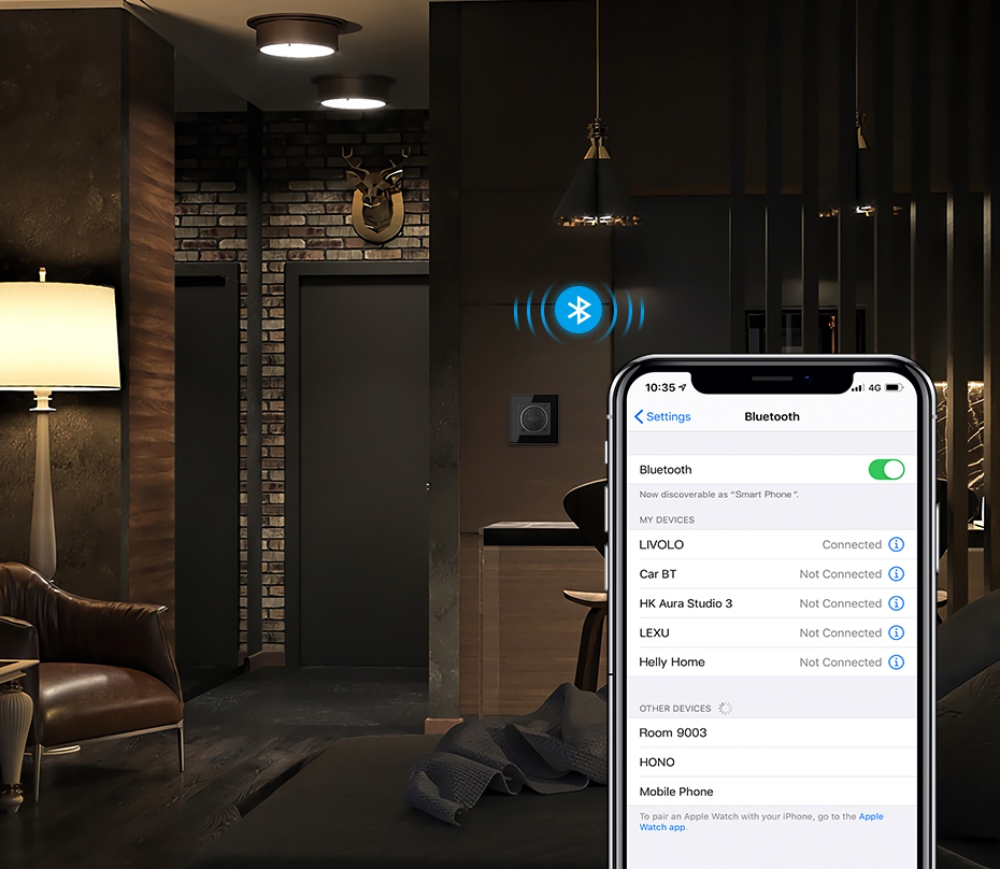 Modul Boxa Bluetooth Livolo