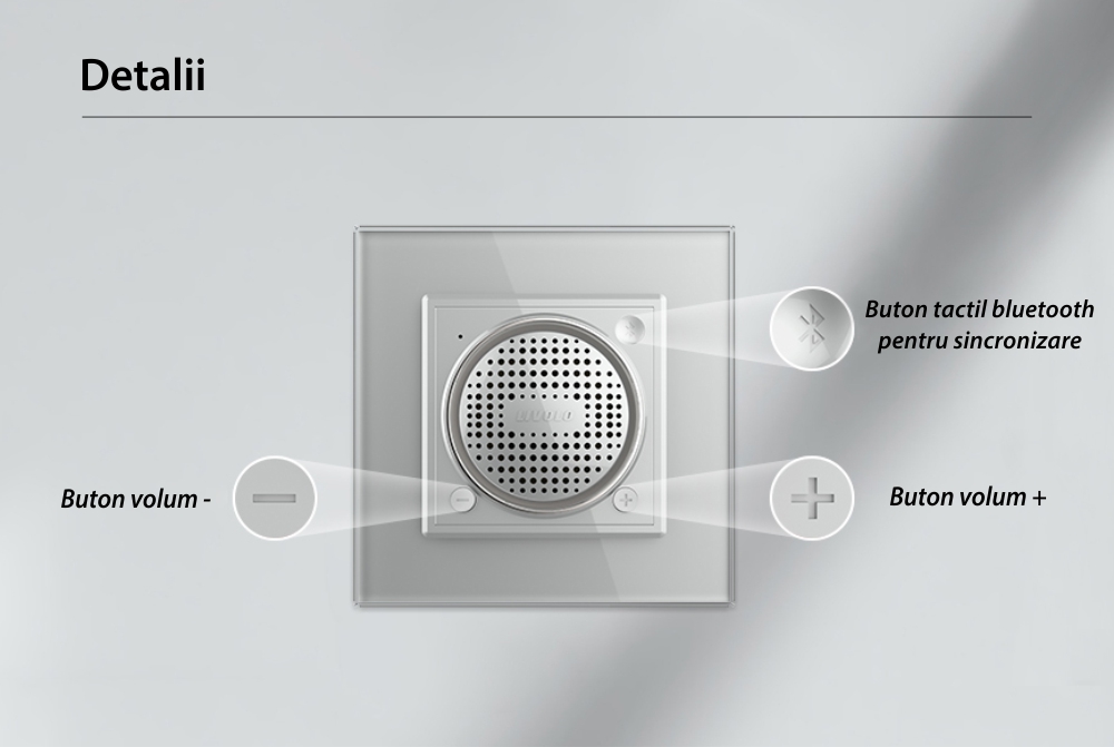 Modul Boxa Bluetooth Livolo