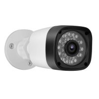 Camera de supraveghere IP BESNT BS-IP21G, 5.0 MP, Night vision 30 m