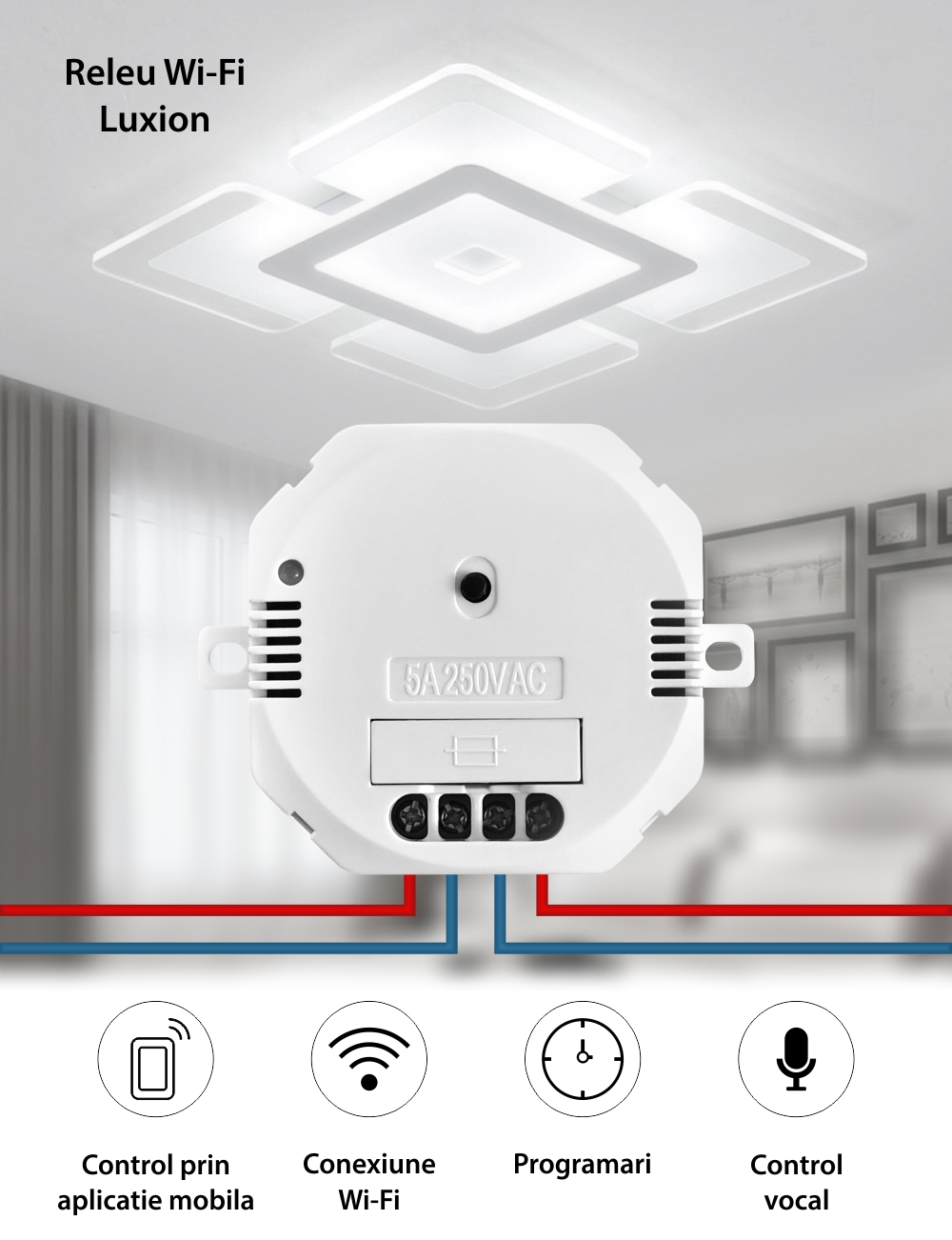 Releu Wi-Fi LUXION, Control aplicatie, Programari