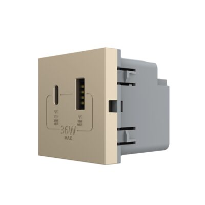 Modul Priza USB-A + USB-C LIVOLO – Serie Noua culoare aurie