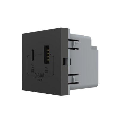 Modul Priza USB-A + USB-C LIVOLO – Serie Noua culoare neagra